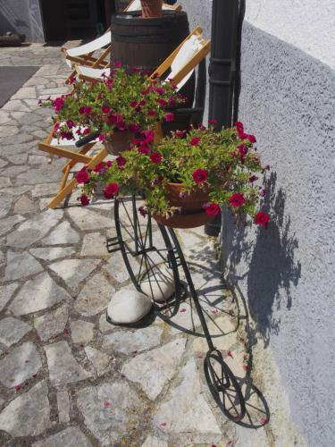 Hostal Casa De La Monta�a