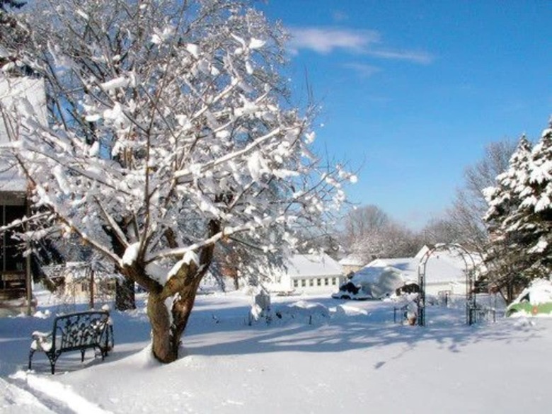 The Pines Of Dresden Bed And Breakfast