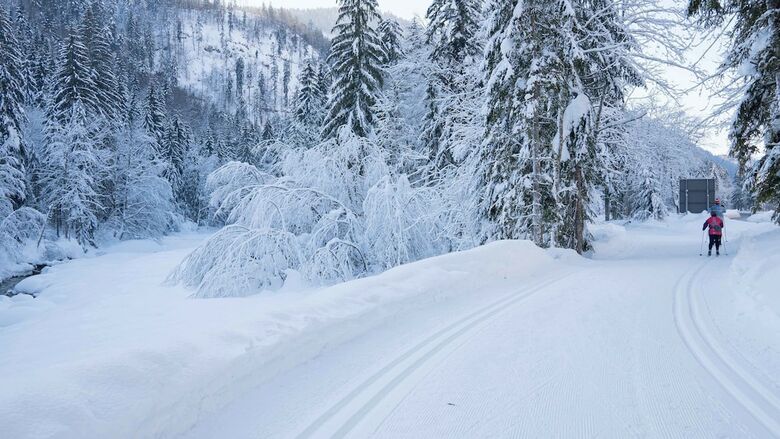 Pension Haus Wildbach