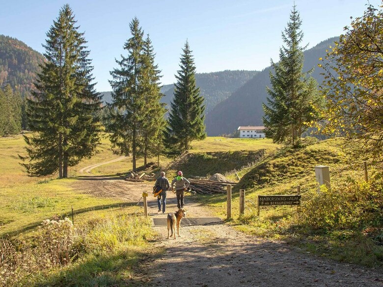 Pension Haus Wildbach