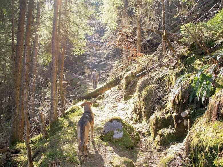 Pension Haus Wildbach