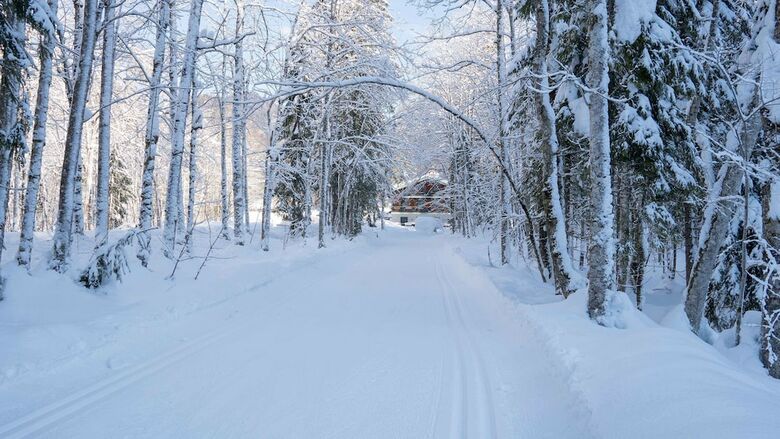 Pension Haus Wildbach
