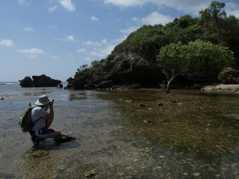 Posada Pangani Cliffs Lodge