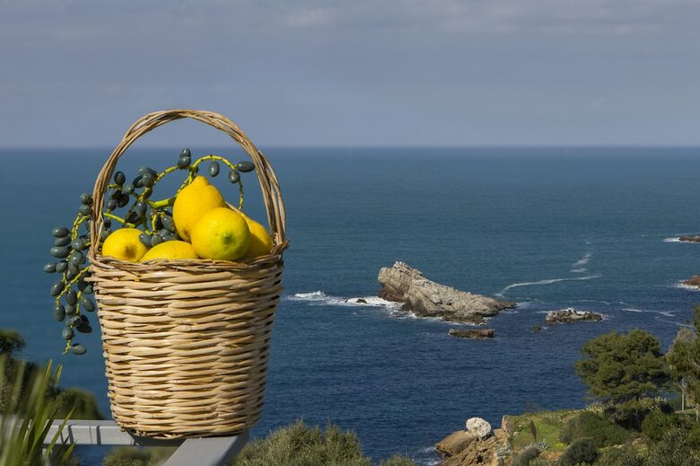 Zabb�ra B&B