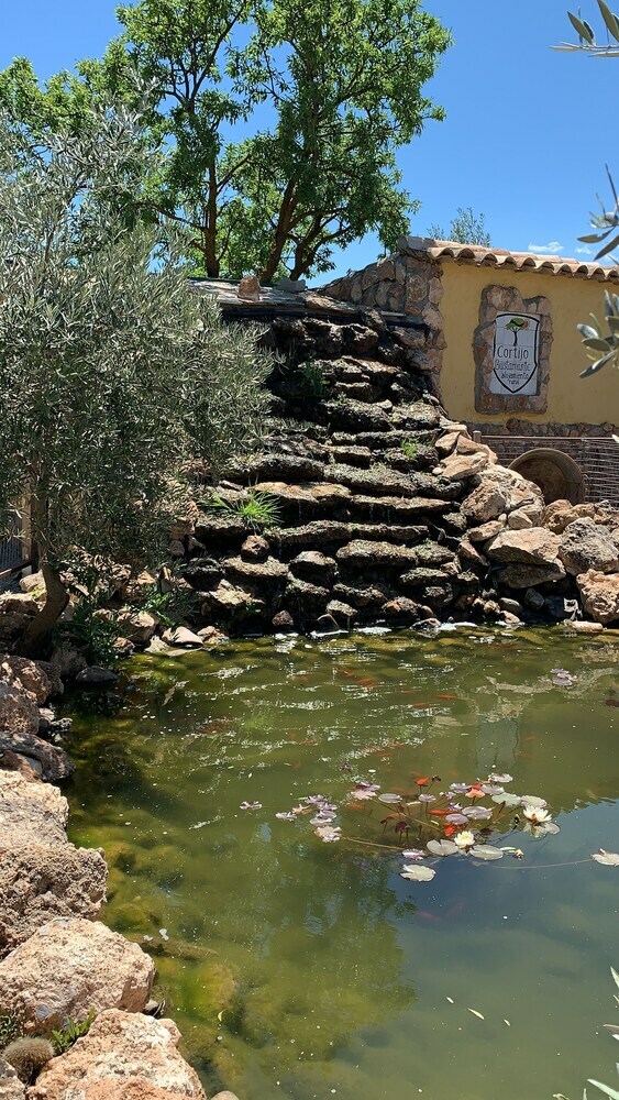 Agroturismo Cortijo Bustamante