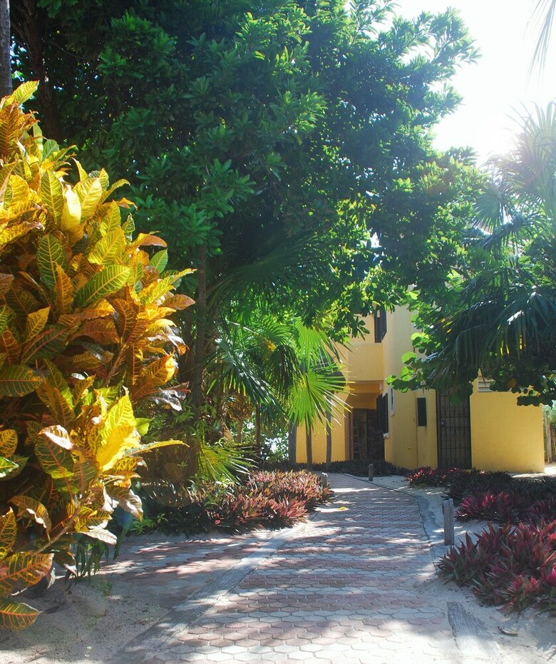 Margarita Del Sol Hotel Costa Maya