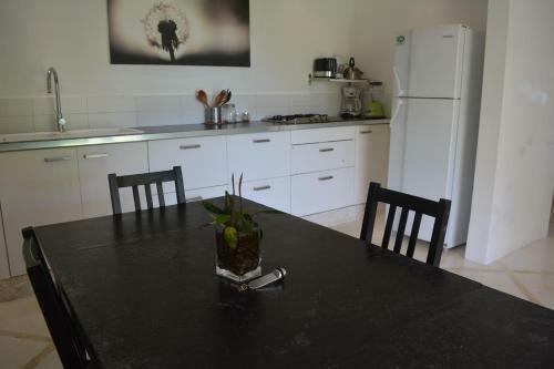 Villa Noria