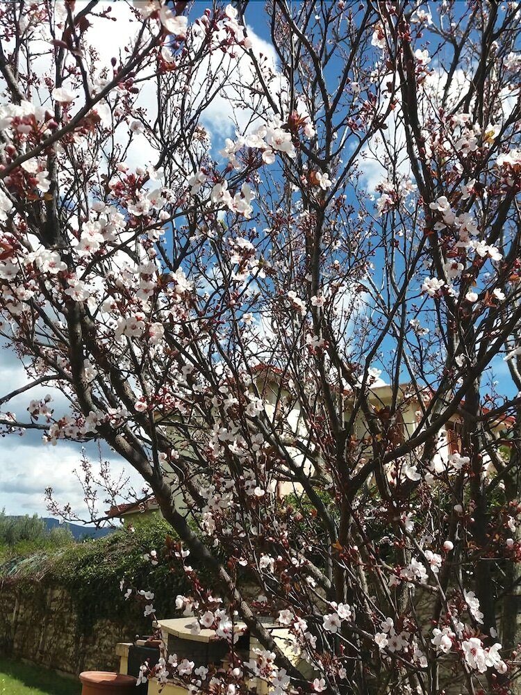 Bed & Breakfast Villa Marilena