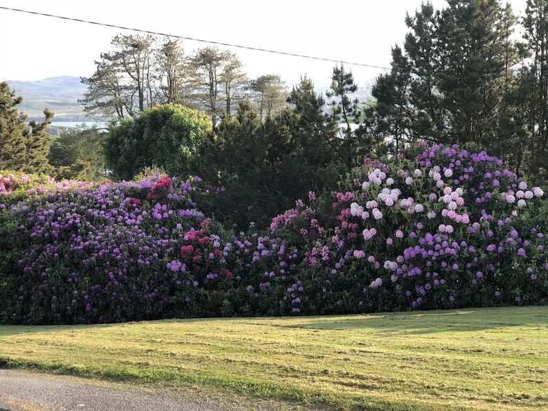 Bed & Breakfast Corran House