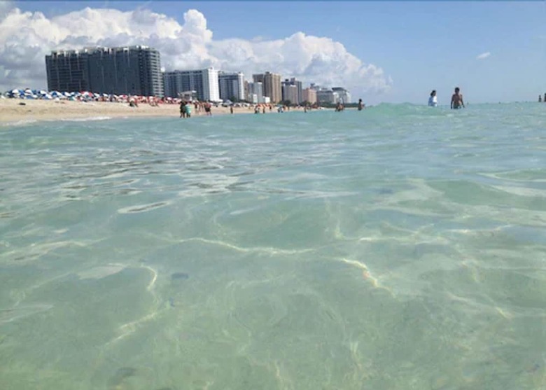 2 Bedroom Deluxe Apt On Collins Ave