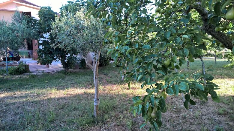 Casa Vacanze Summertime