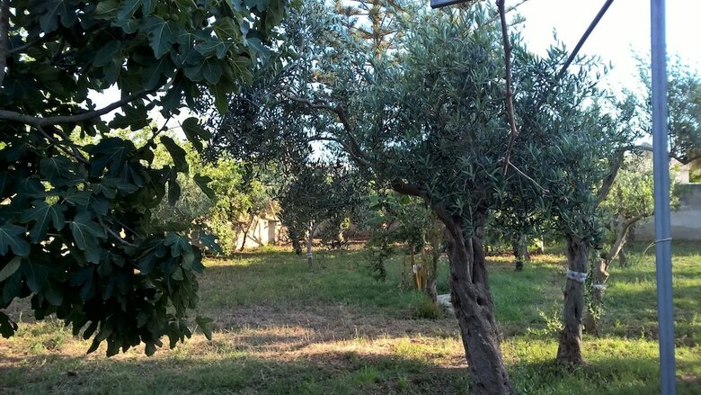 Casa Vacanze Summertime