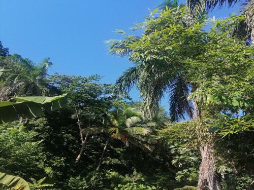 Aparthotel House Jardin Del Caribe