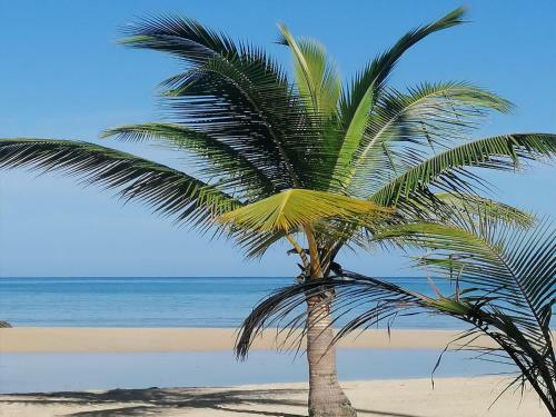 Aparthotel House Jardin Del Caribe
