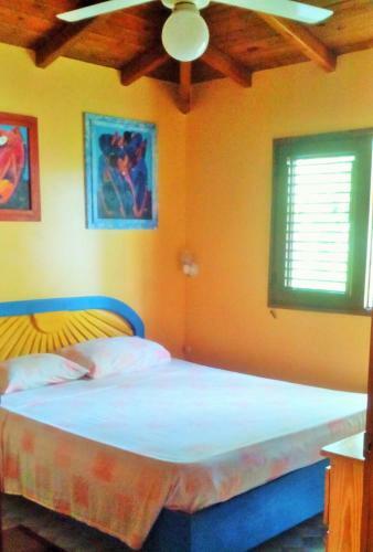 Apartamentos Arcoiris