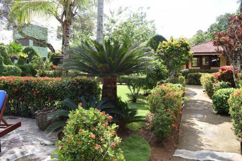 Hotel Palococo