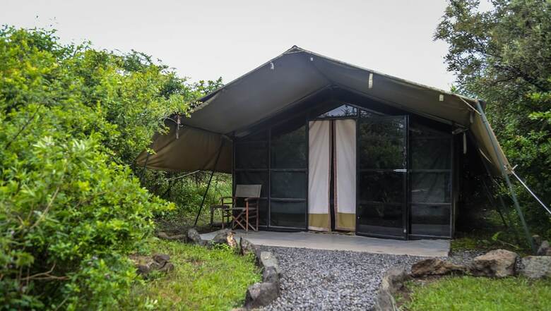 Punda Milias Camp Nakuru