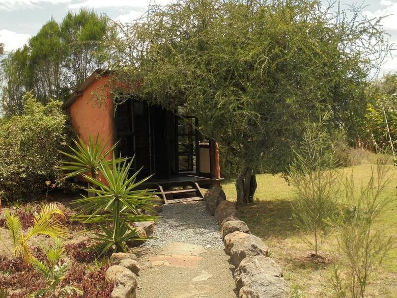 Punda Milias Camp Nakuru