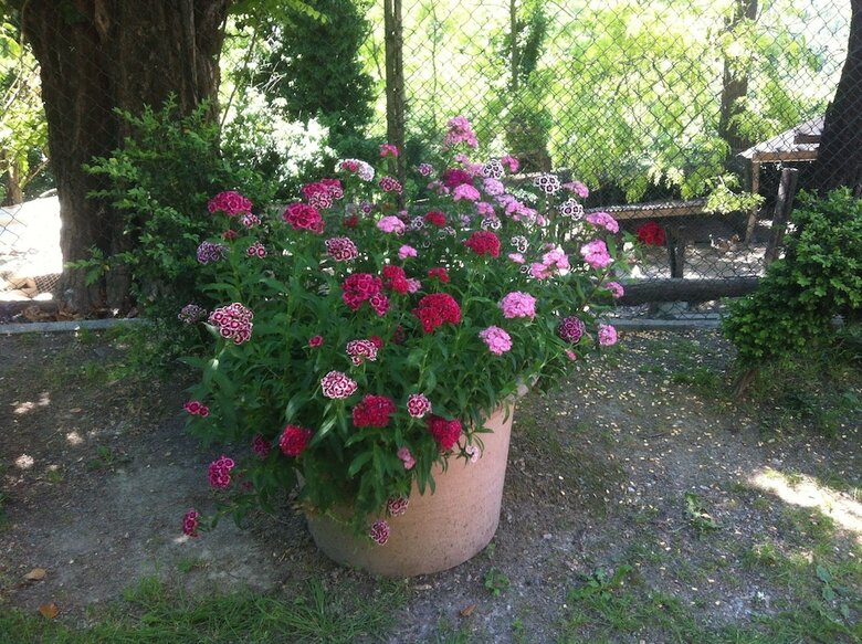 Agroturismo Cascina Zenevrea