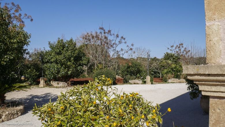 Bed & Breakfast Tenuta Il Grifo