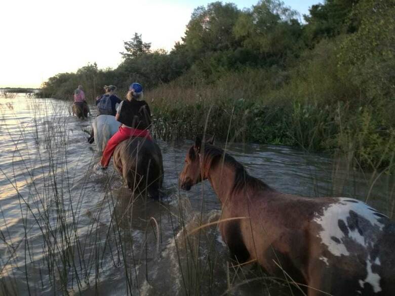 Bed & Breakfast Posada de Campo Los Azahares