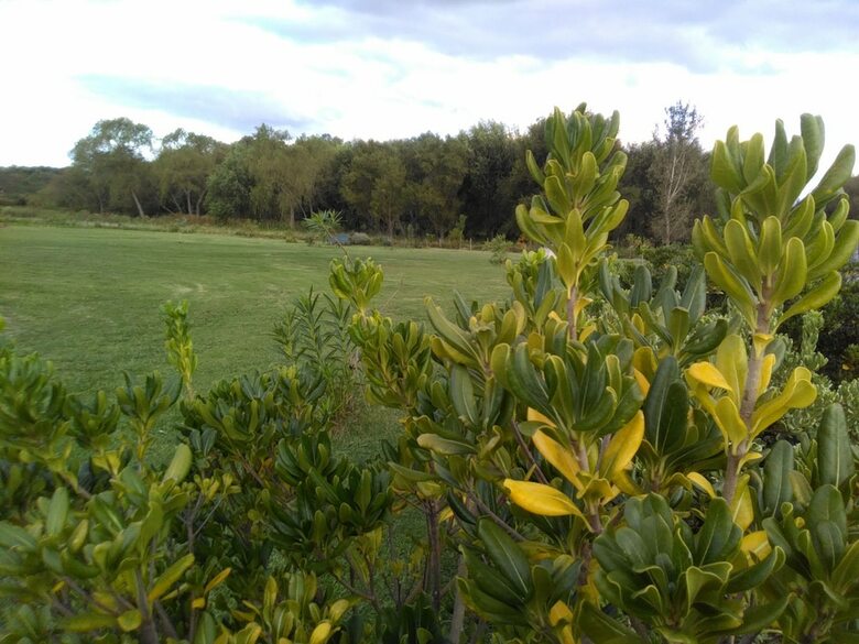 Bed & Breakfast Posada de Campo Los Azahares