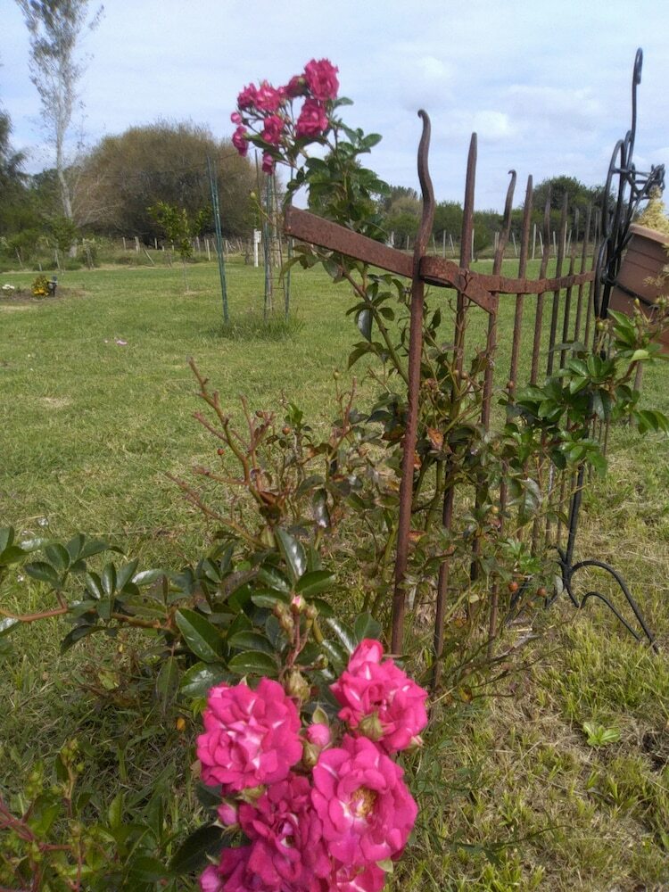 Bed & Breakfast Posada de Campo Los Azahares