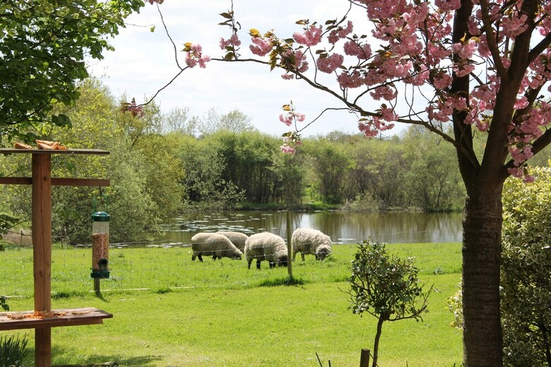 Colston Hall Farmhouse B&B