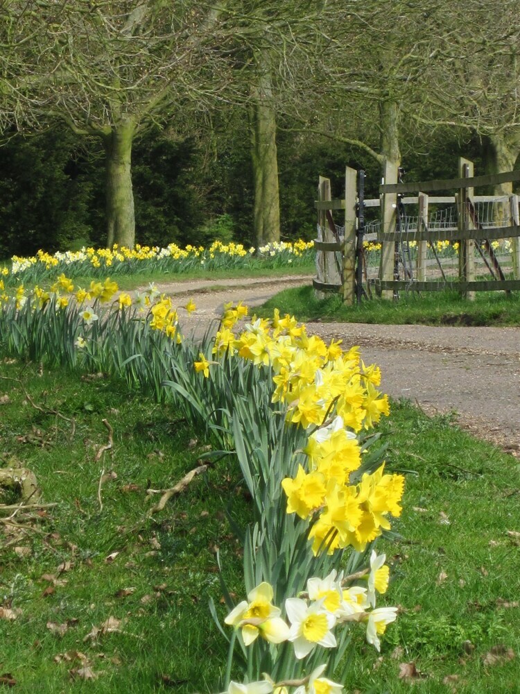 Colston Hall Farmhouse B&B