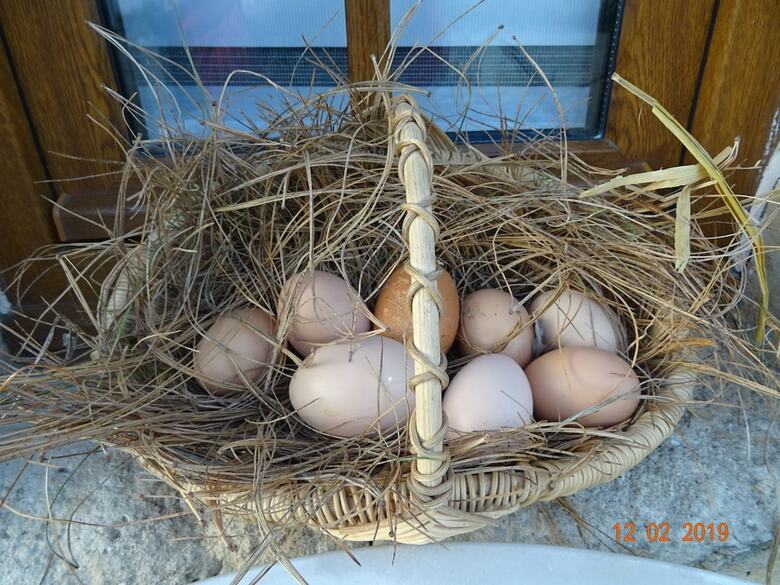 Bed & Breakfast La Ferme Aux Chats