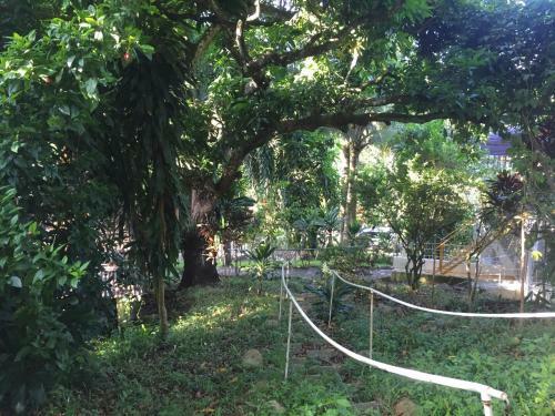 Camping National Park Close To Beach