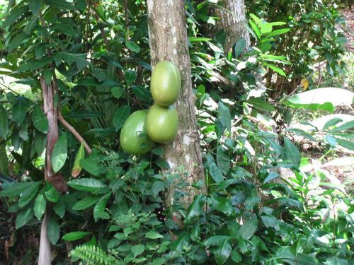 Camping National Park Close To Beach