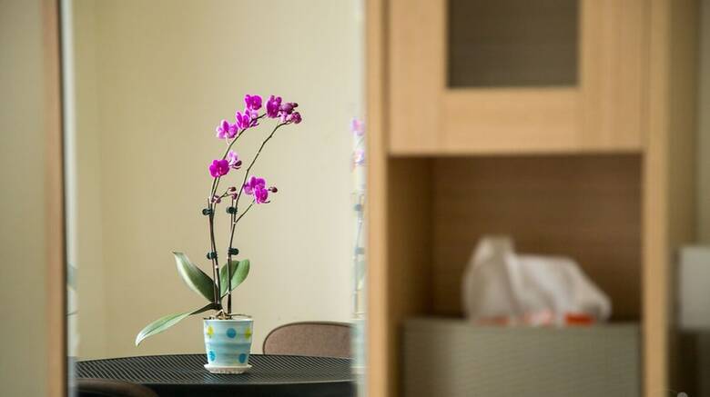 Hotel Blackfoot Homestay