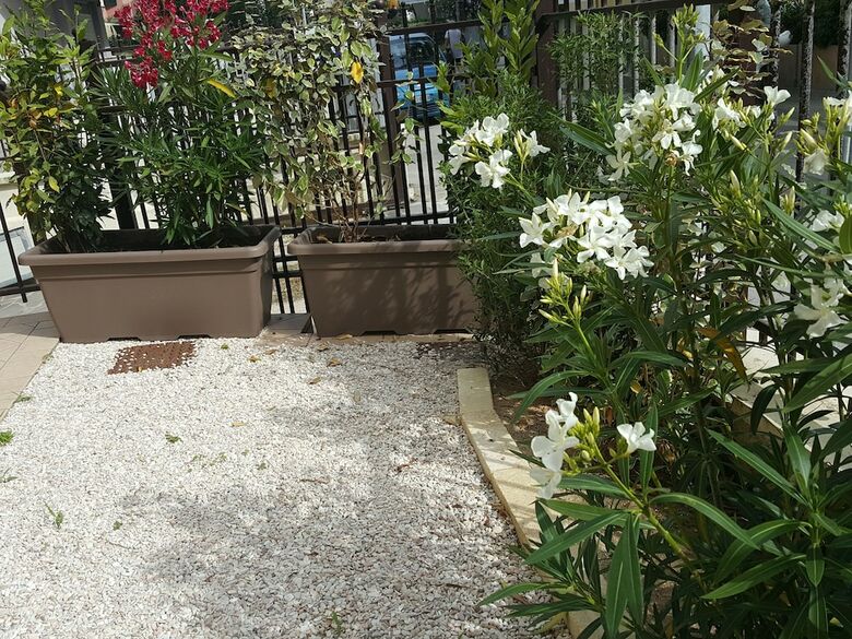 Apartamento Residence Ducale