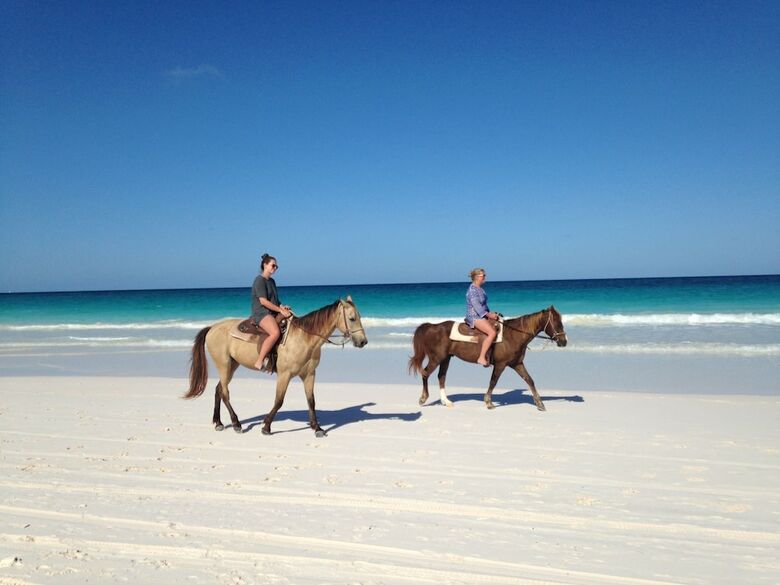 Little Arches