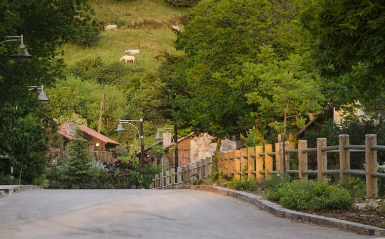 Hotel Merom Golan Resort