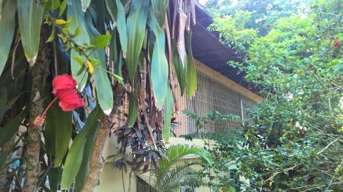 Bed & Breakfast Real Dominican Republic Discovery