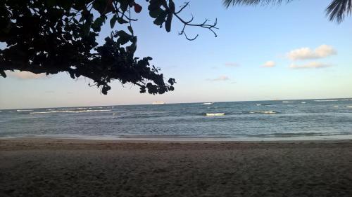 Bed & Breakfast Real Dominican Republic Discovery