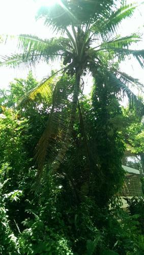 Bed & Breakfast Real Dominican Republic Discovery