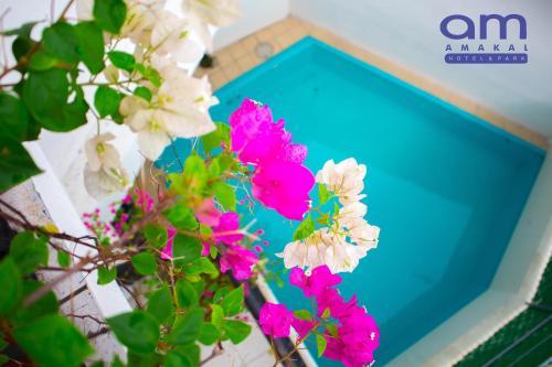 Hotel Amakal Hualtulco Oaxaca