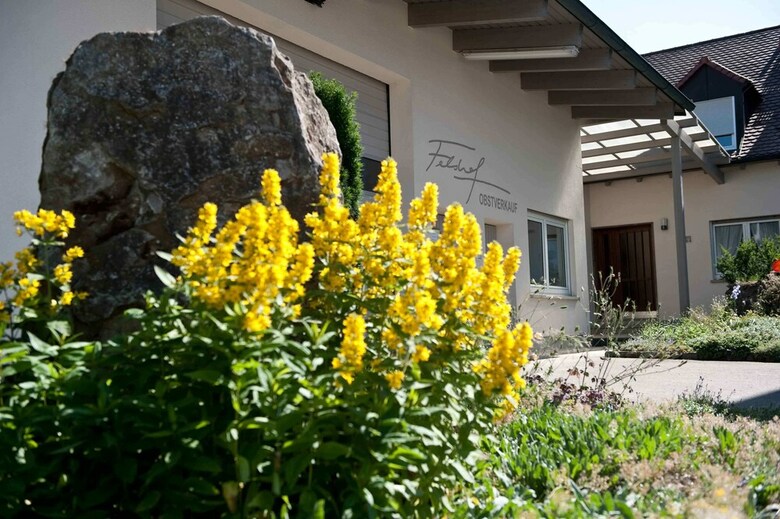 Hotel Weingut & G�stehaus Felshof