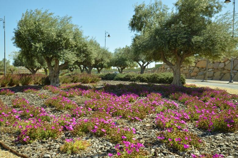 Hacienda Riquelme Serviced Apartments