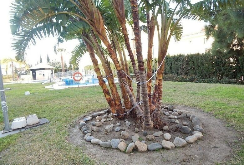 Apartamentos 19003-ph  Penthouse In Playaquebrada