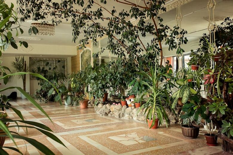 Hotel Lastochka