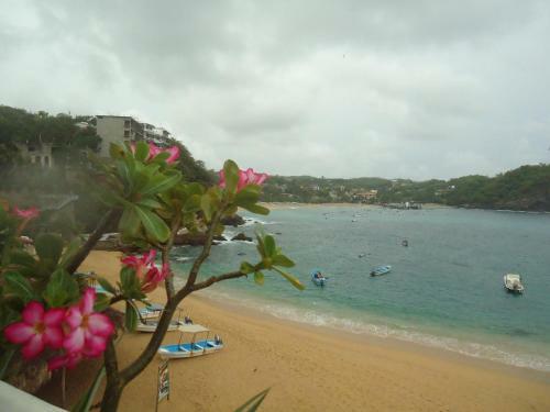 Hotel Cordelia's