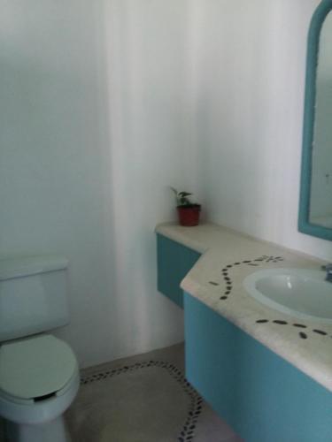 Hotel Plaza Delphinus