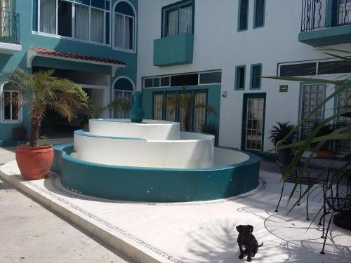 Hotel Plaza Delphinus