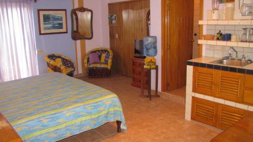Hotel La Paloma Oceanfront Retreat