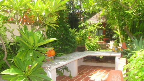 Hotel La Paloma Oceanfront Retreat