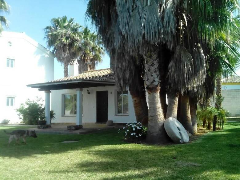 El Olivar de Roche Viejo